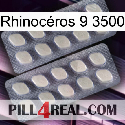 Rhinocéros 9 3500 07